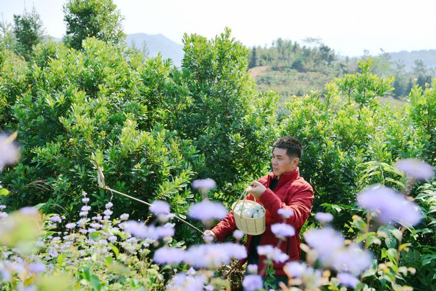 通城人才网最新招聘，开启您的职业发展新篇章