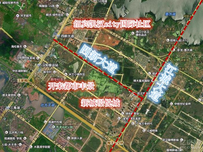 武汉汉阳四新区域最新动态